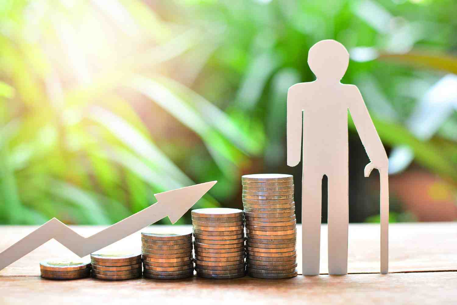 Retirement Investment Plan